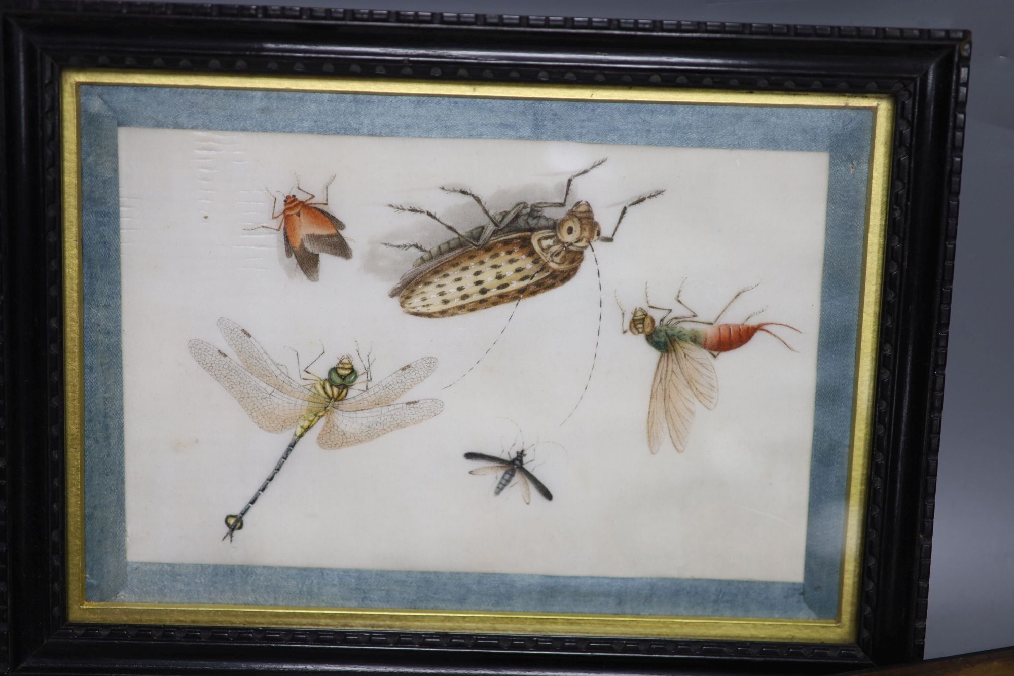 Four 19th century Chinese pith paintings of insects, 14.5 x 19.cm including ribbon border and three pith paintings of, 10 x 7.5cm